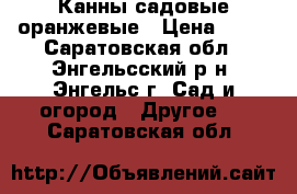 Канны садовые оранжевые › Цена ­ 50 - Саратовская обл., Энгельсский р-н, Энгельс г. Сад и огород » Другое   . Саратовская обл.